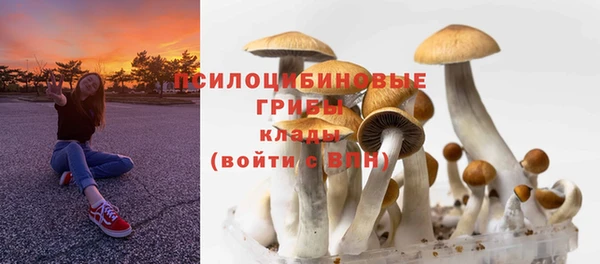 mix Абинск