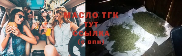 крисы Мегион