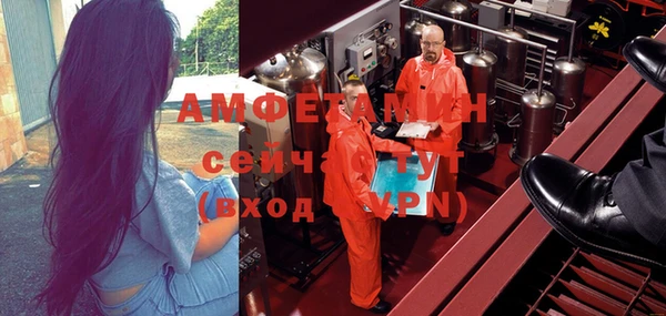 крисы Мегион