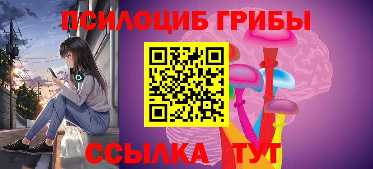 Галлюциногенные грибы Psilocybe Юрга